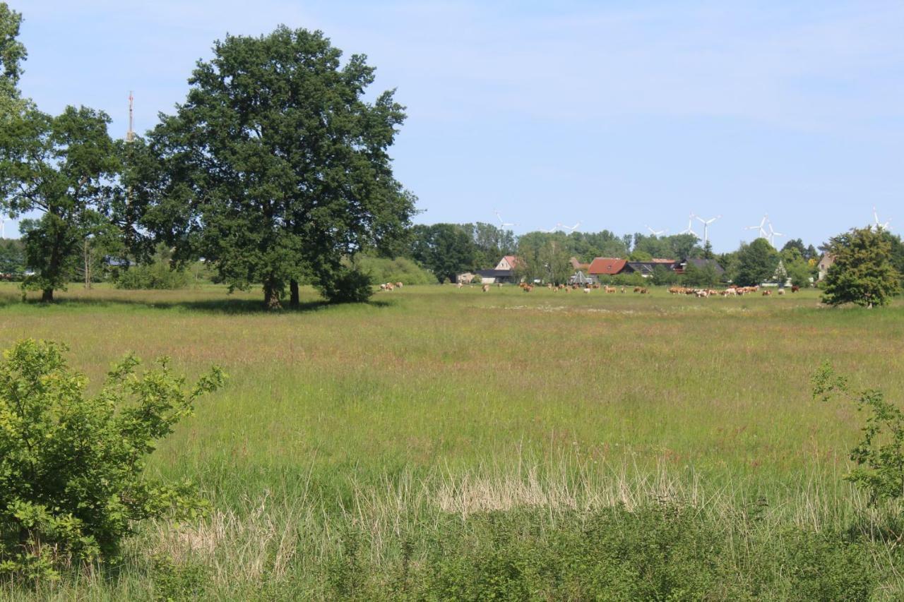 Spreewald Ferienwohnung Luebben Eksteriør billede